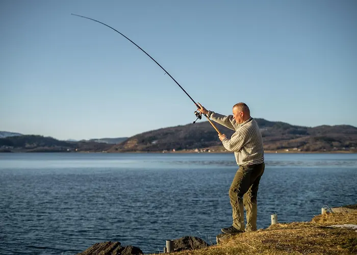 Attme Have מלון *