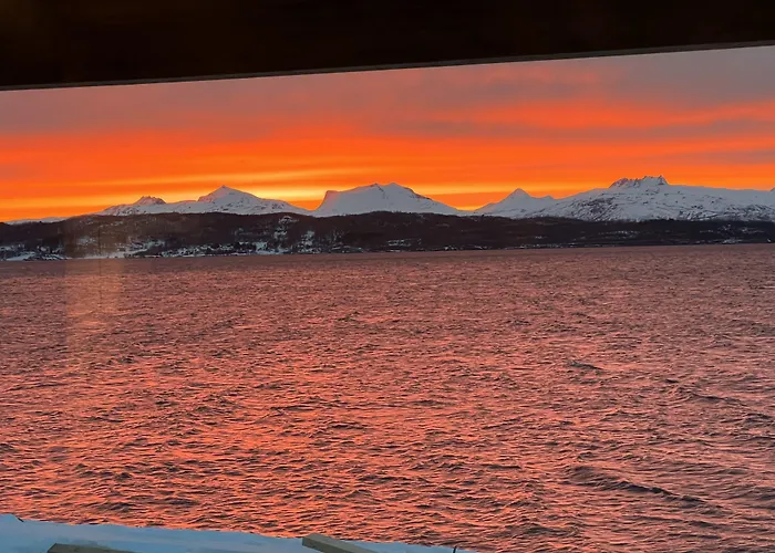 Attme Have * Brostadbotn