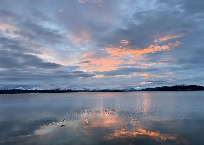 Attme Have מלון *